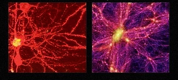  Ліворуч - клітина мозку, праворуч – частинка космосу.