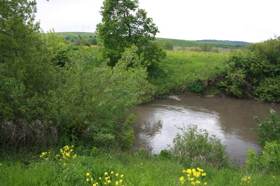 Річка Гнила Липа. Фото ілюстративне
