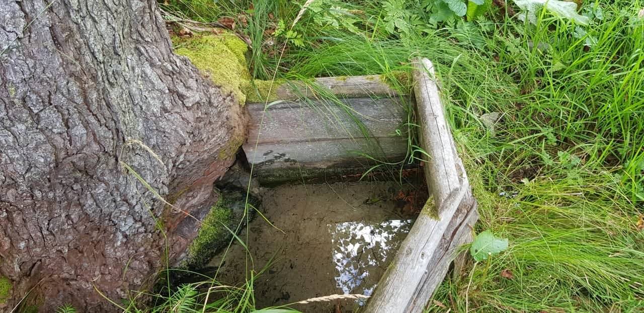 У Долинському районі виявлено значні запаси мінеральних вод